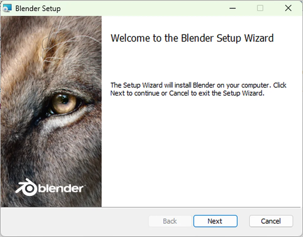 The Welcome to the Blender Setup Wizard screen, with the Next button