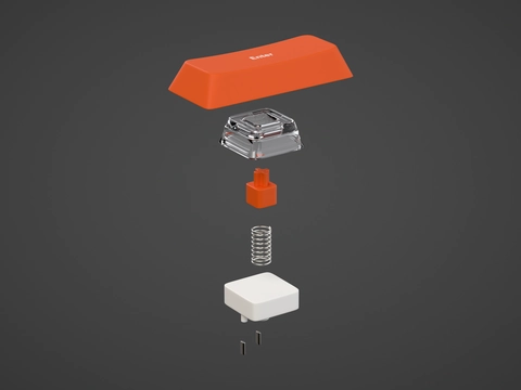 Switch anatomy